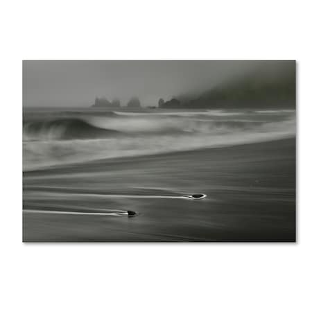 Trademark Fine Art Izidor Gasperlin 'Traces In Time' Canvas Art, 30x47 1X00355-C3047GG